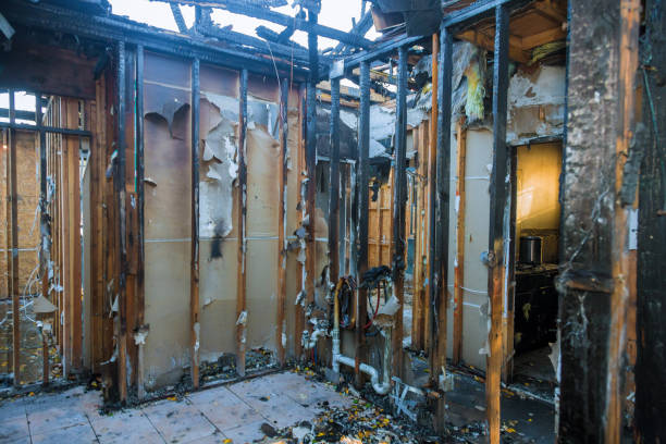 Professional Fire Damage Cleanup technician working in Perry Hall, MD